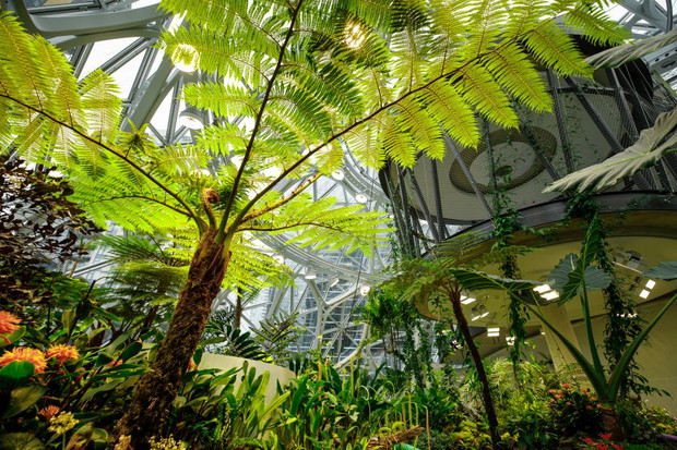 The Spheres, biuro Amazon w Seattle