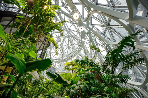 The Spheres, biuro Amazon w Seattle