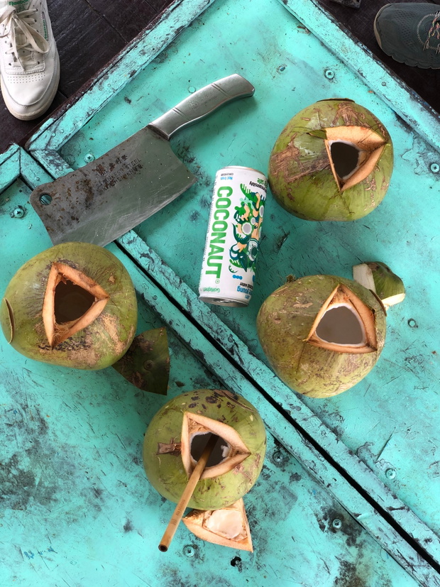 Coconaut w Wietnamie