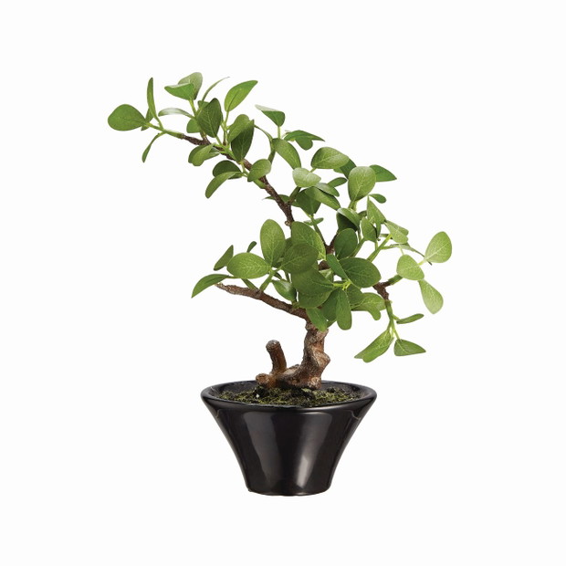 Sztuczne drzewko bonsai, 74,99 zł
