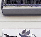 Mural "Gołębie, Beata Konarska