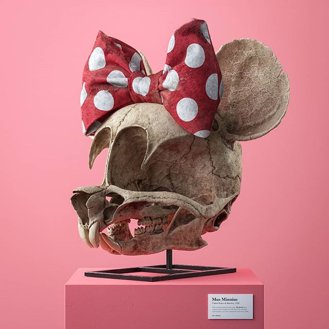 Czaszka Minnie, Filip Hodas