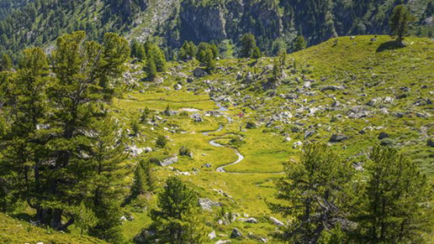 Nendaz, Japanischer Garten