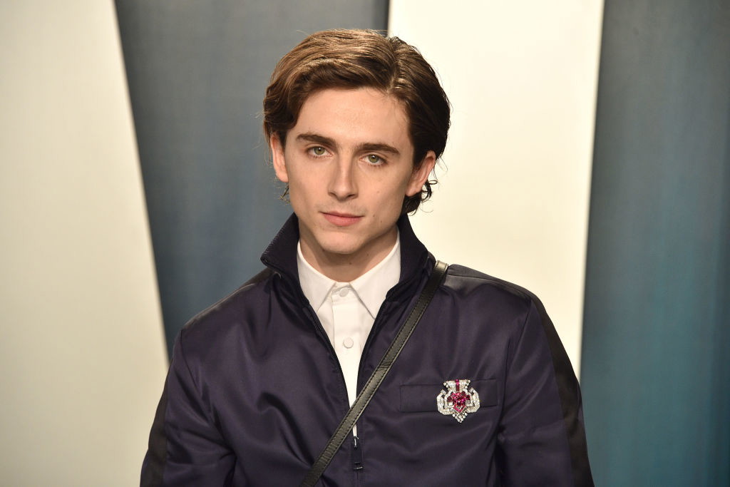 Timothee Chalamet i Armie Hammer pojawią się w "Tamte dni, tamte noce 2". To już pewne!