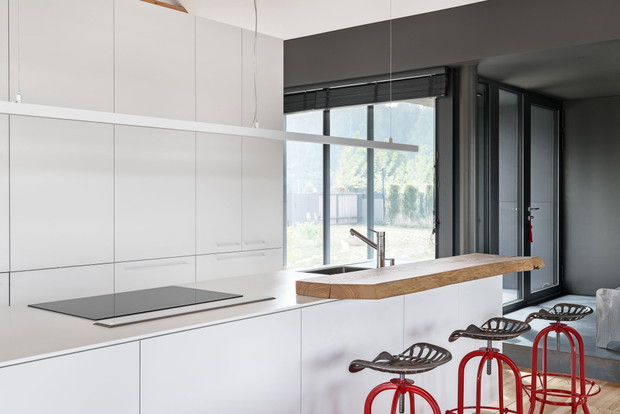 Dom POZ_7 w Wielkopolsce, projekt: pracownia PL.architekci