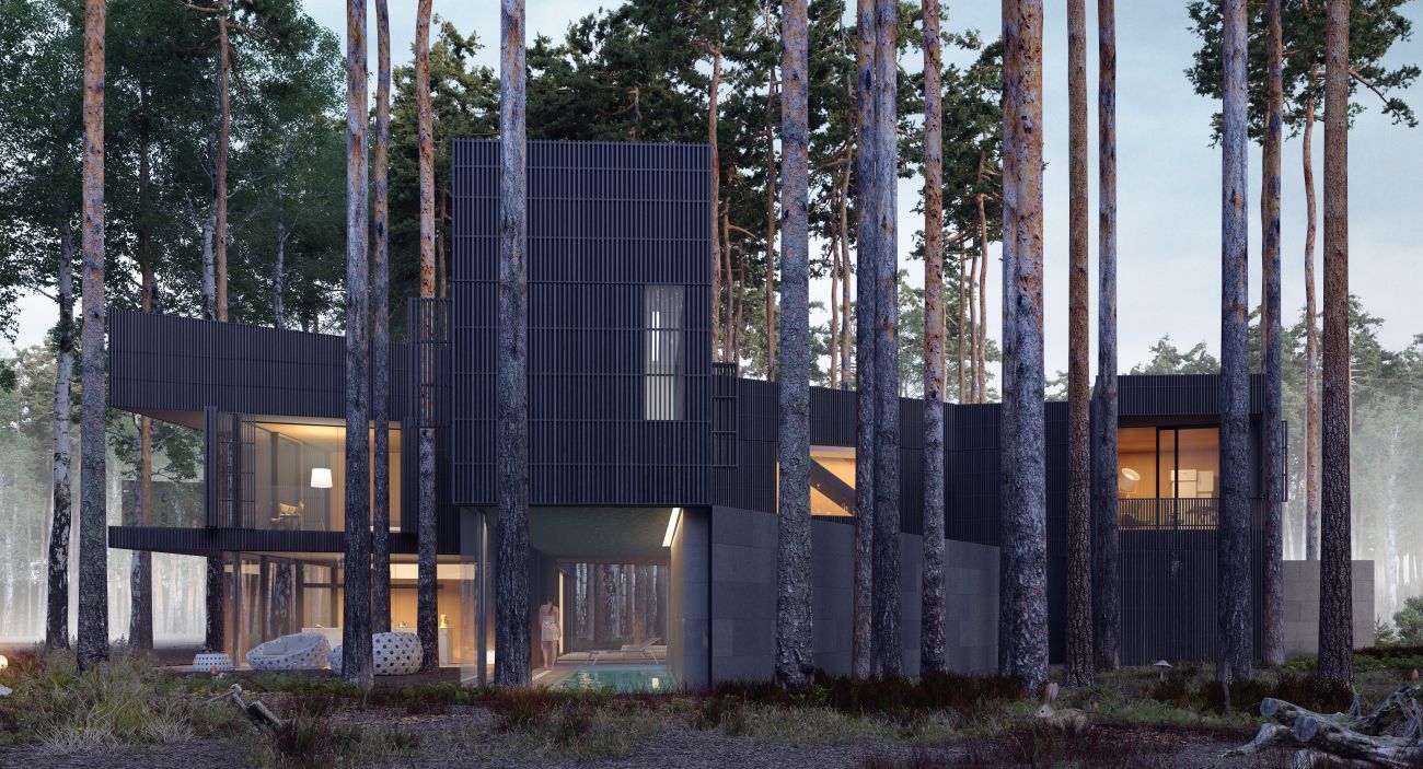 Wind House, projekt: Przemek Olczyk Mobius Architekci