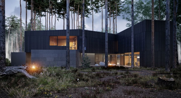 Wind House, projekt: Przemek Olczyk Mobius Architekci