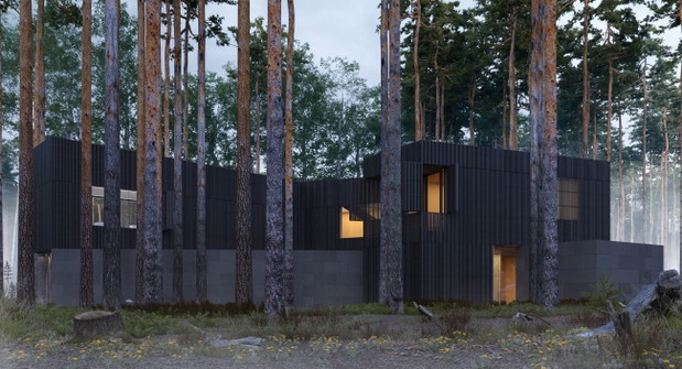 Wind House, projekt: Przemek Olczyk Mobius Architekci