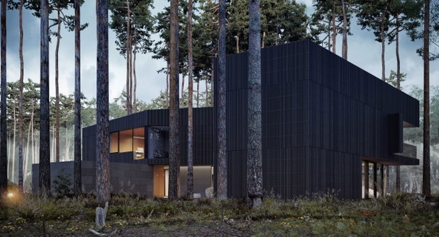 Wind House, projekt: Przemek Olczyk Mobius Architekci
