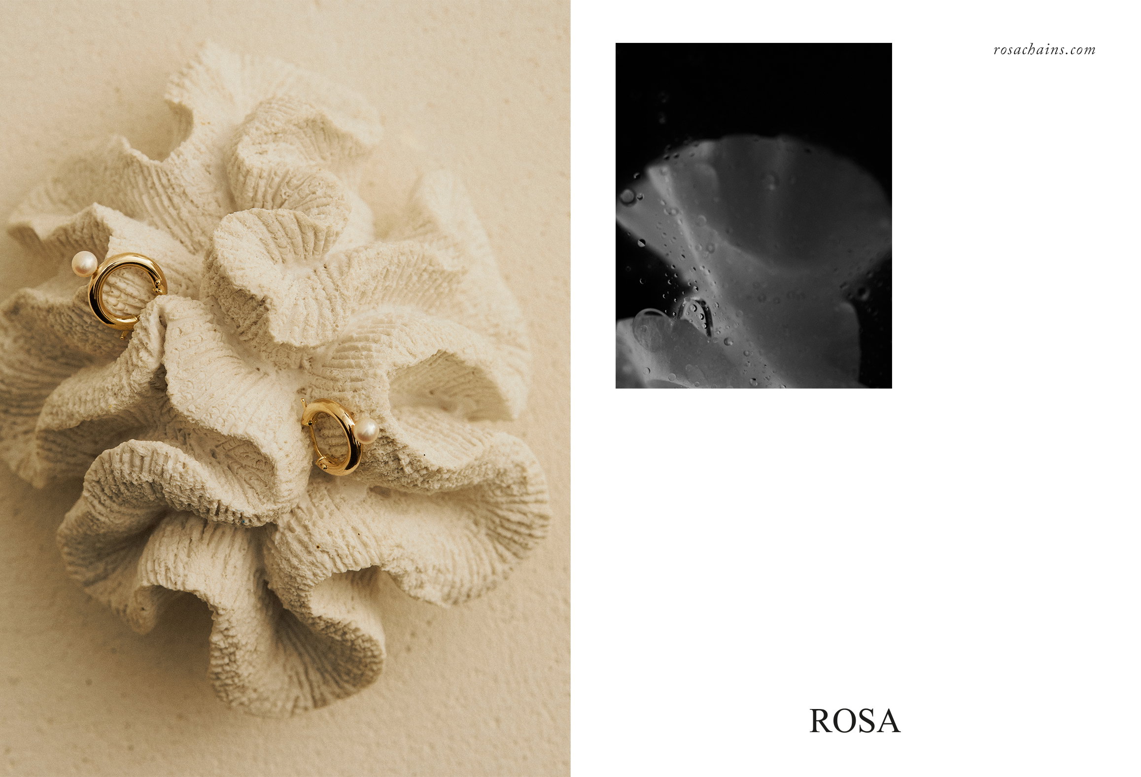 Rosa wiosna-lato 2020
