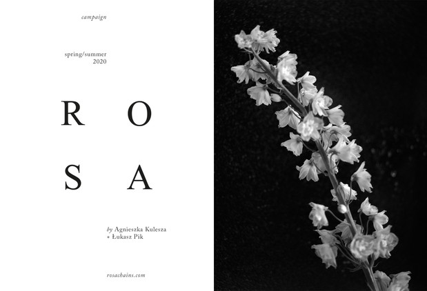 Rosa wiosna-lato 2020