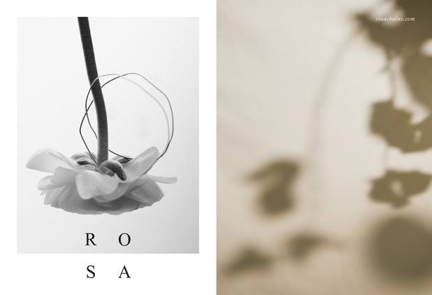Rosa wiosna-lato 2020