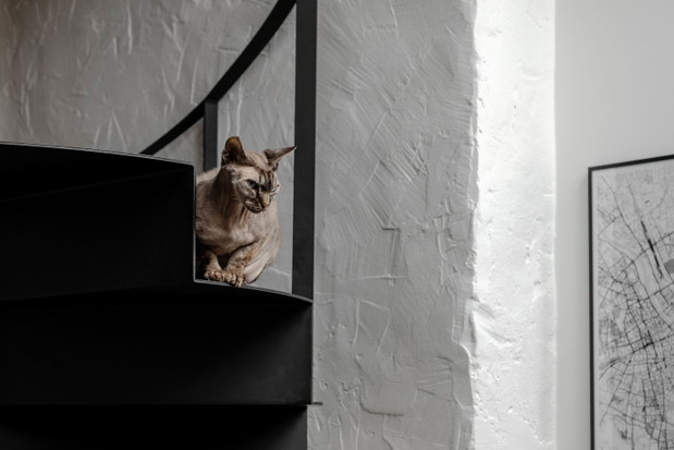 Loft w sercu Warszawy, projekt: Modoso