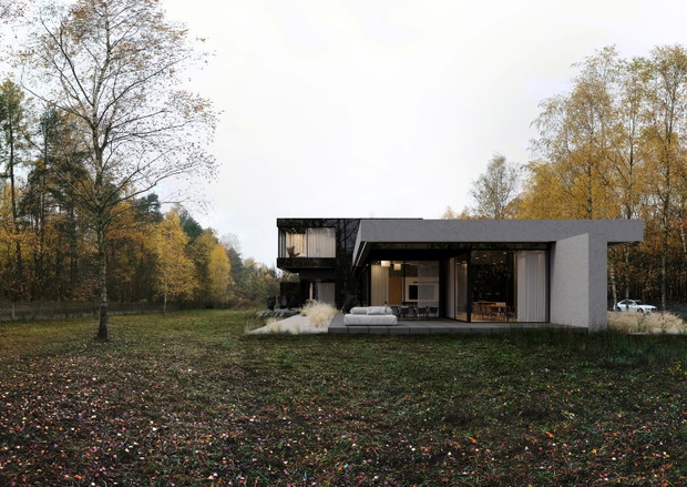 Podłużny dom pod lasem, „RE: STARK HOUSE”, projekt: REFORM Architekt