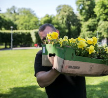 Gdański Zarząd Dróg i Zieleni