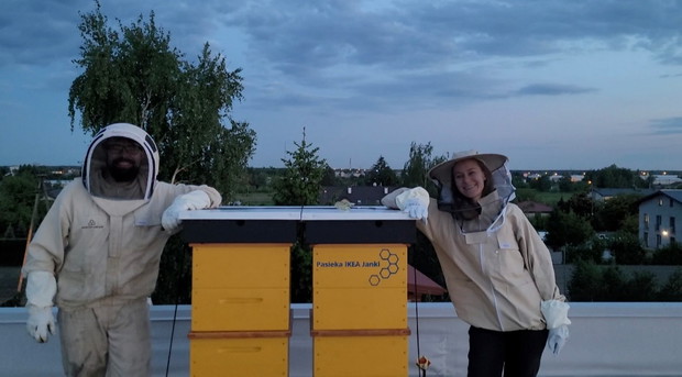 Pszczoły na dachu IKEA Janki