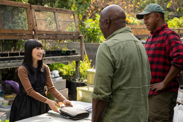 Sparking joy with Marie Kondo