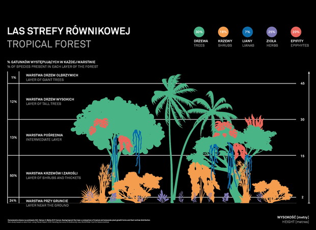 Infografika z wystawy „Klimaks”