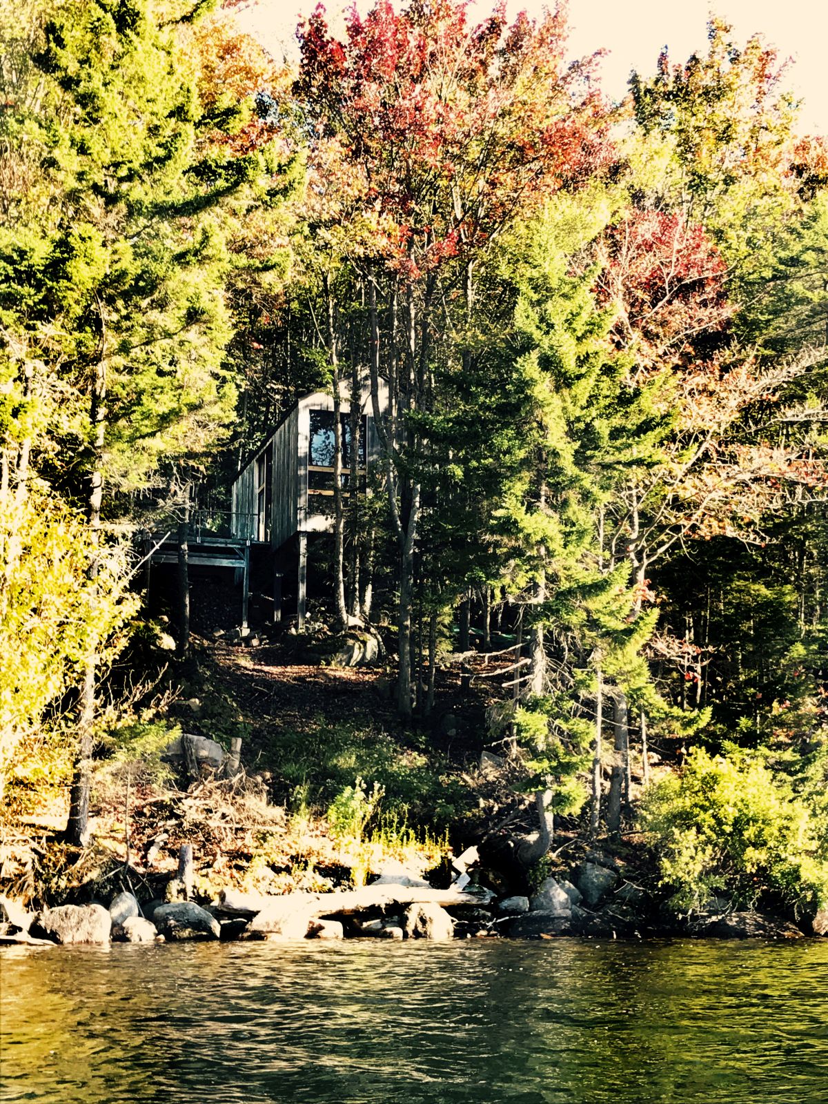 Remote Lake Cabin, projekt Stonorov Workshop Architects