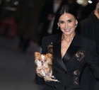 Demi Moore z pieskiem