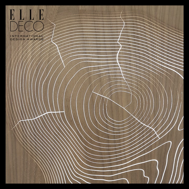 DS SAVOIR FAIRE AWARD ARCA CABINET MAKING