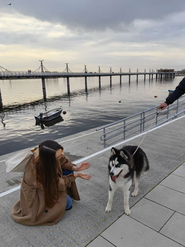 Test telefonu HUAWEI Mate 50 Pro