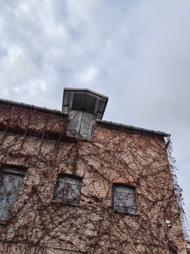 Test telefonu HUAWEI Mate 50 Pro