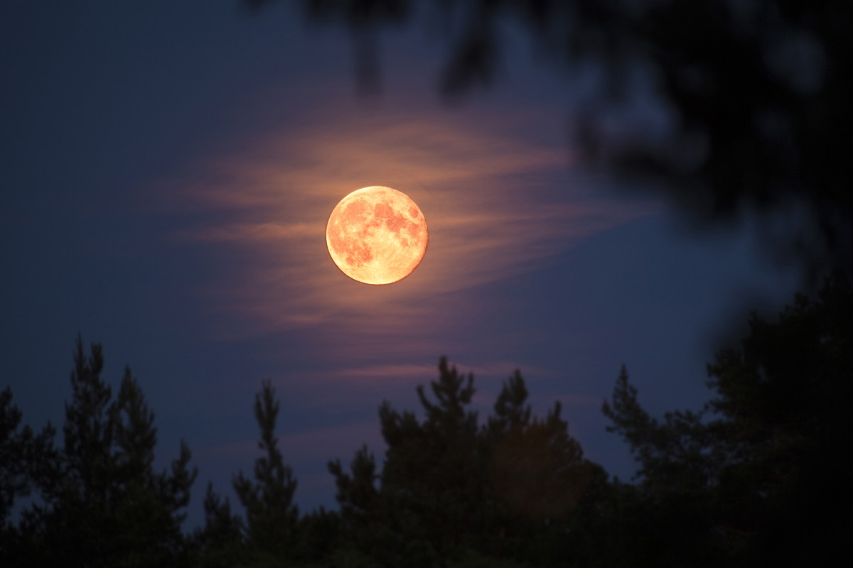 Moon