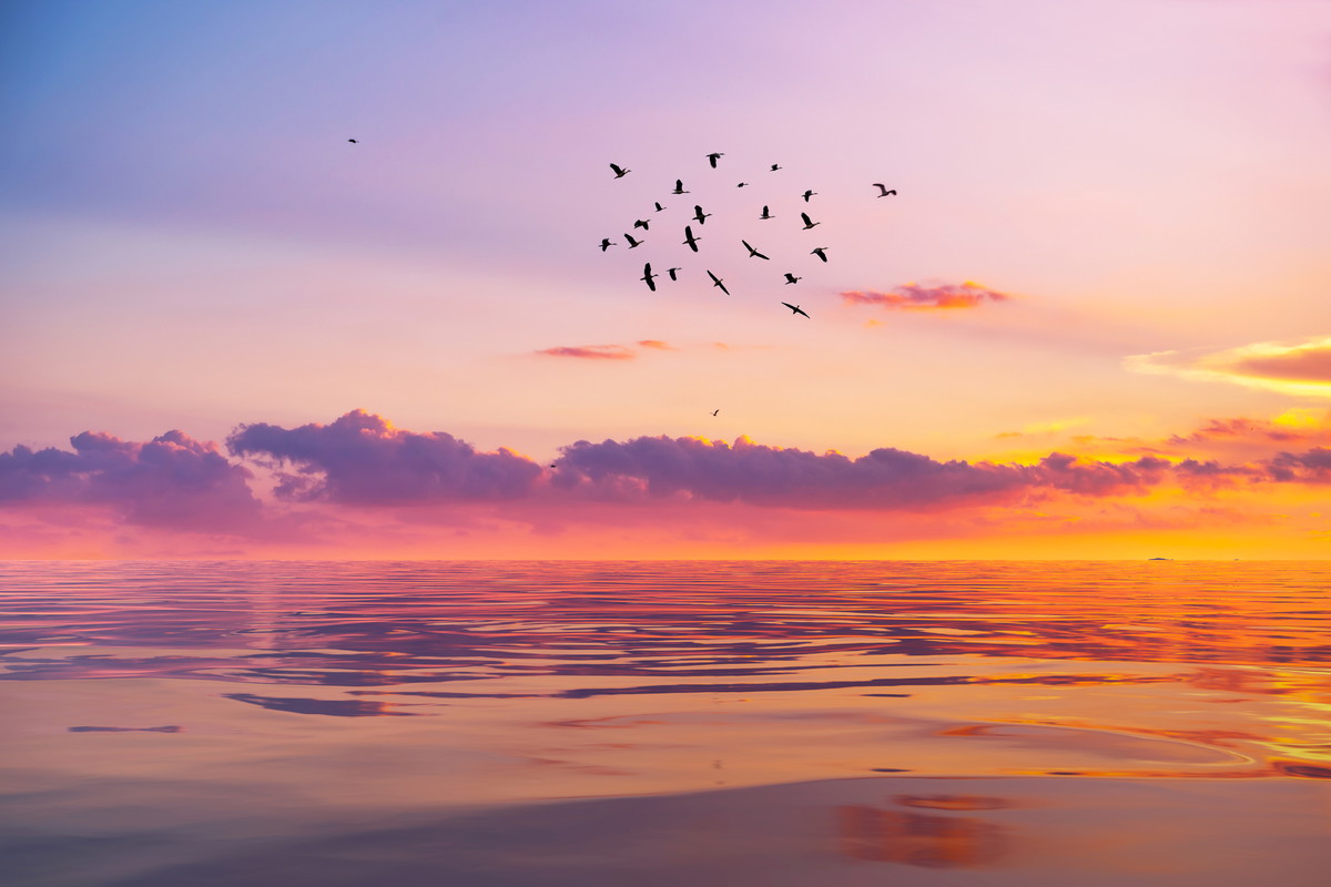 The sun was setting in the evening at sea