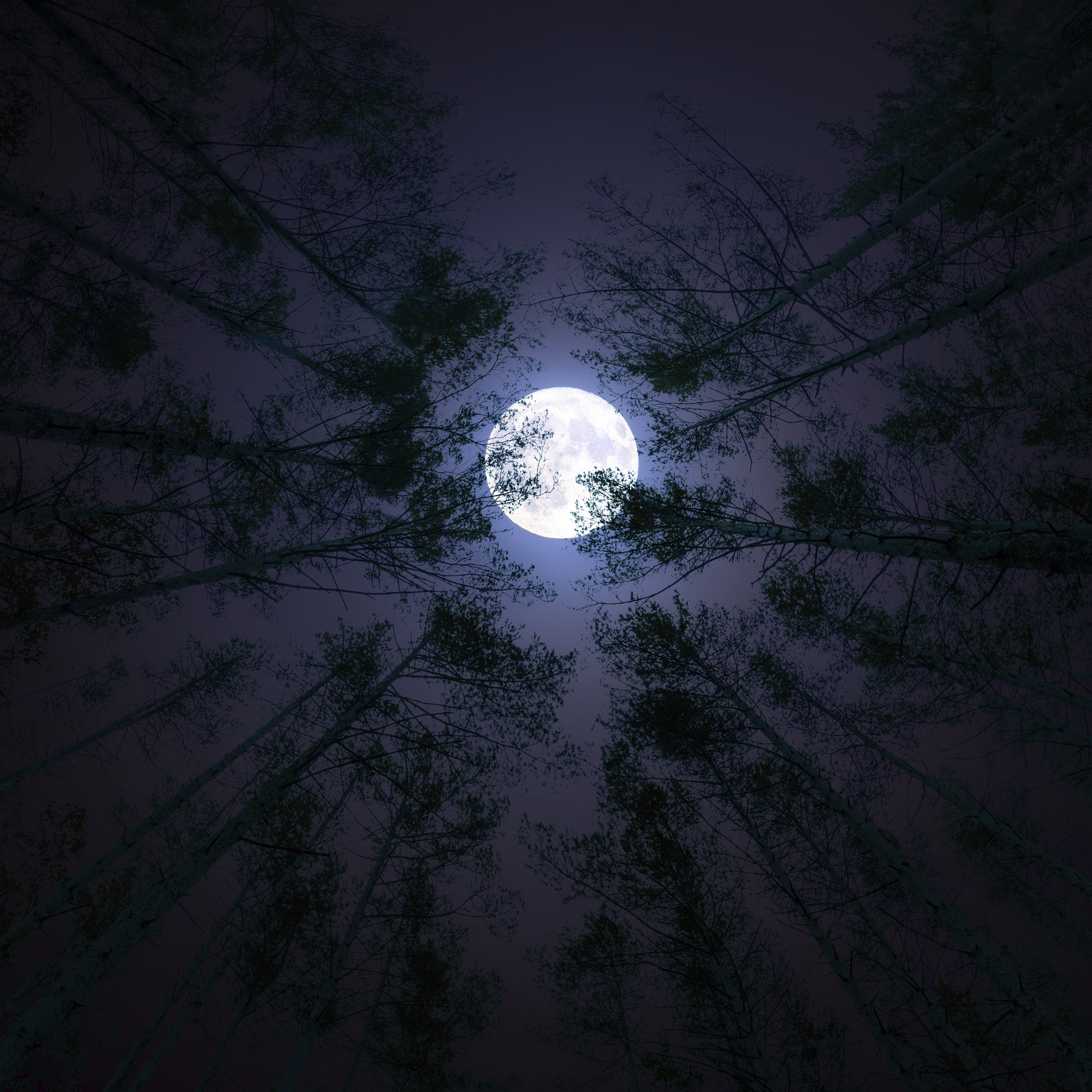 Horoskop
