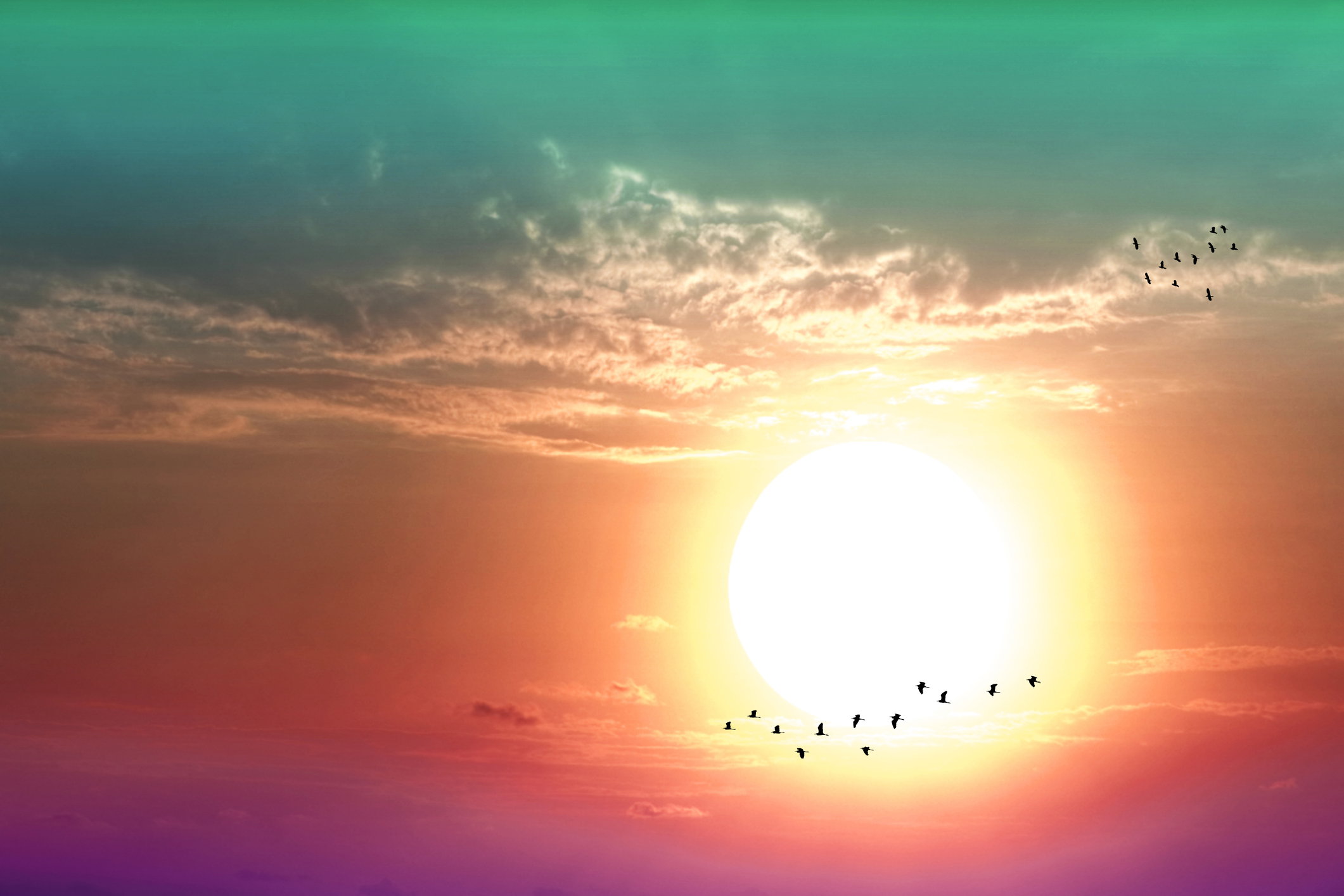 horoskop