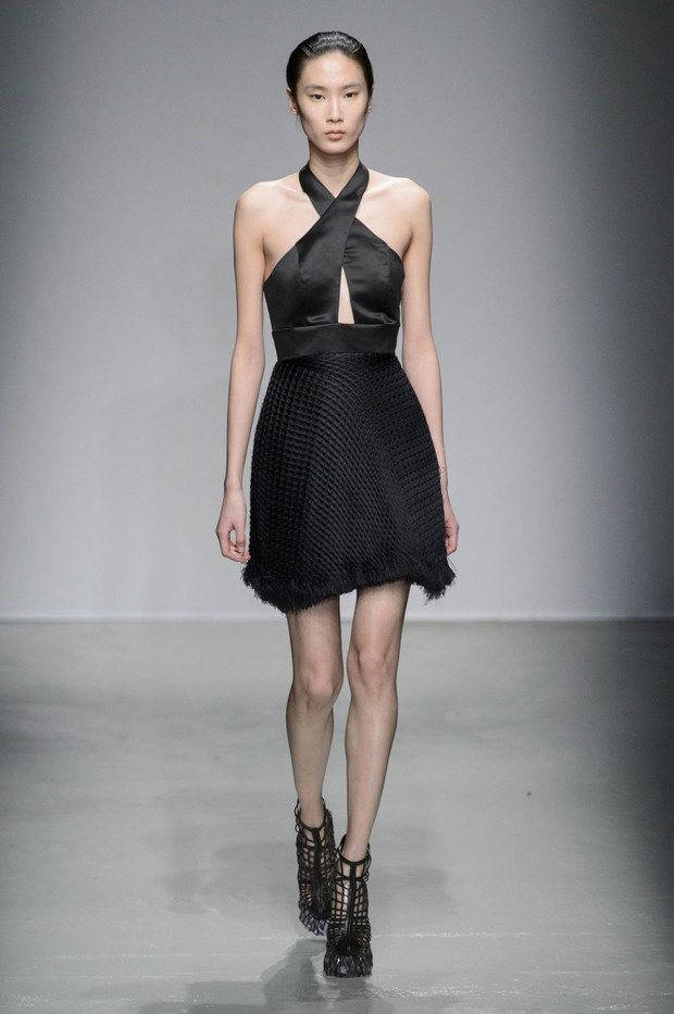 Iris van Herpen jesień-zima 2015/2016
