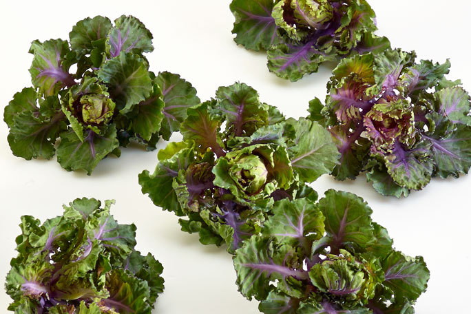 Kalettes - nowe warzywo, które ma zastąpić jarmuż i brukselkę