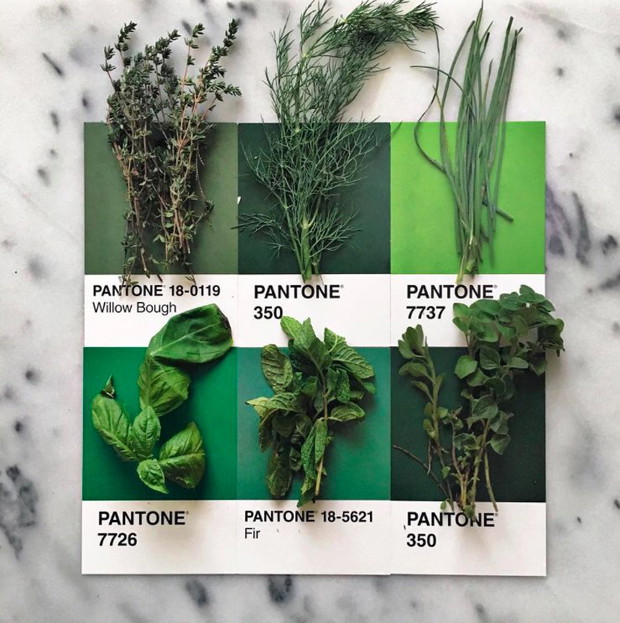 10 modnych kolorów Pantone wiosna-lato 2017