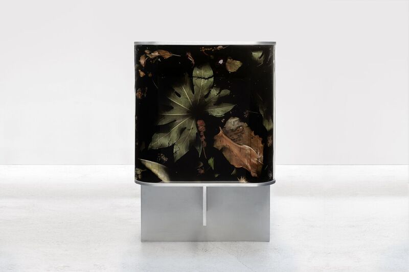 Marcin Rusak Flora Collection