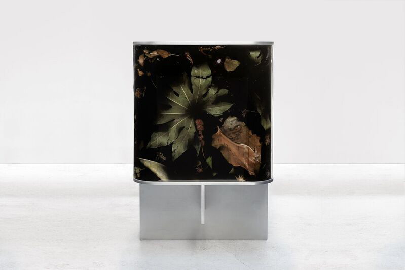 Marcin Rusak Flora Collection