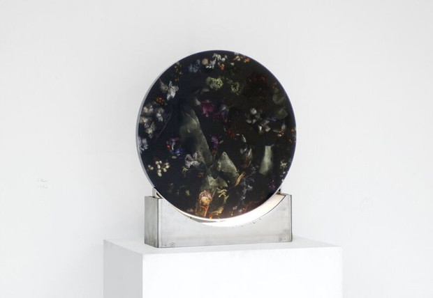 Marcin Rusak Flora Collection