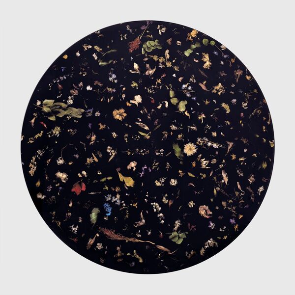 Marcin Rusak Flora Collection
