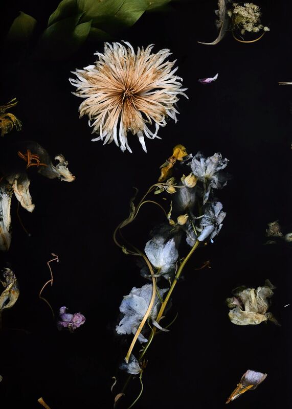 Marcin Rusak Flora Collection