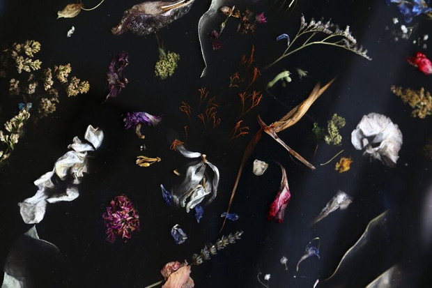 Marcin Rusak Flora Collection