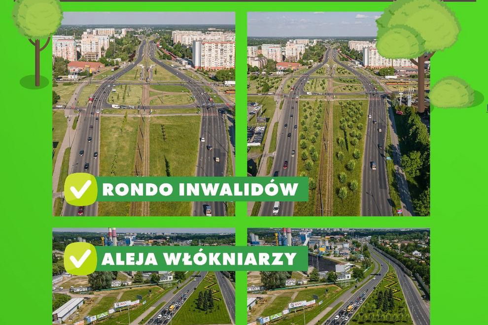 Nasadzenia w Łodzi
