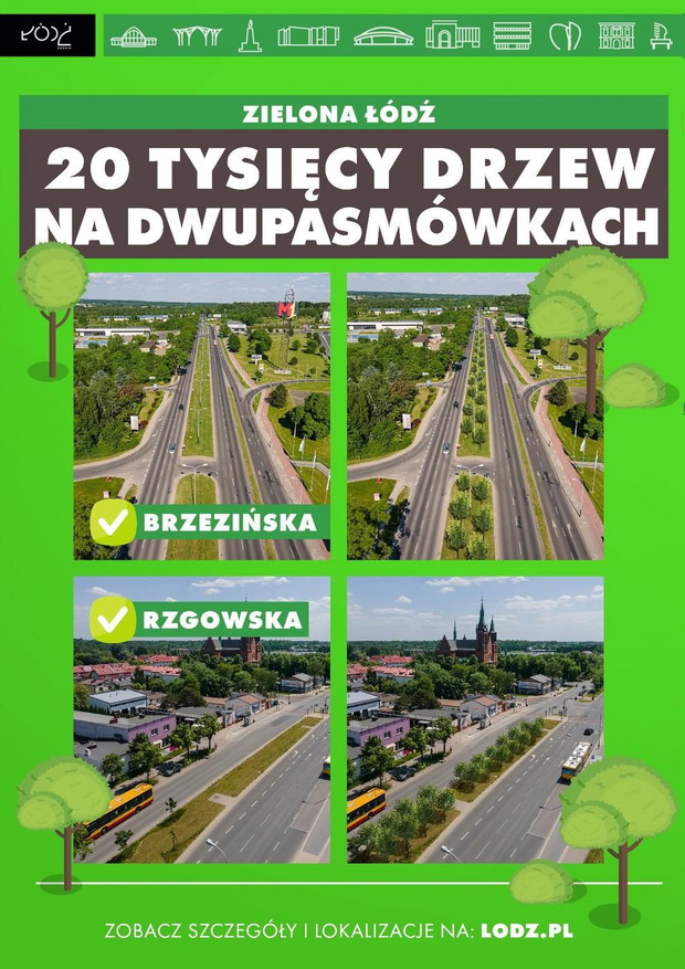 Nasadzenia w Łodzi
