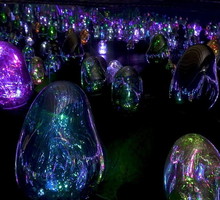Kolektyw artystyczny TeamLab przedstawi nową instalację artystyczną podczas Maison&Objet 2022 w Paryżu