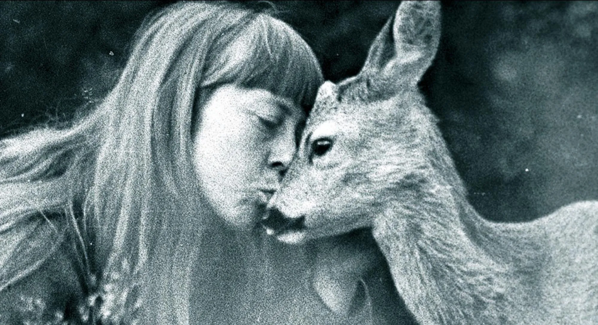 Simona Kossak