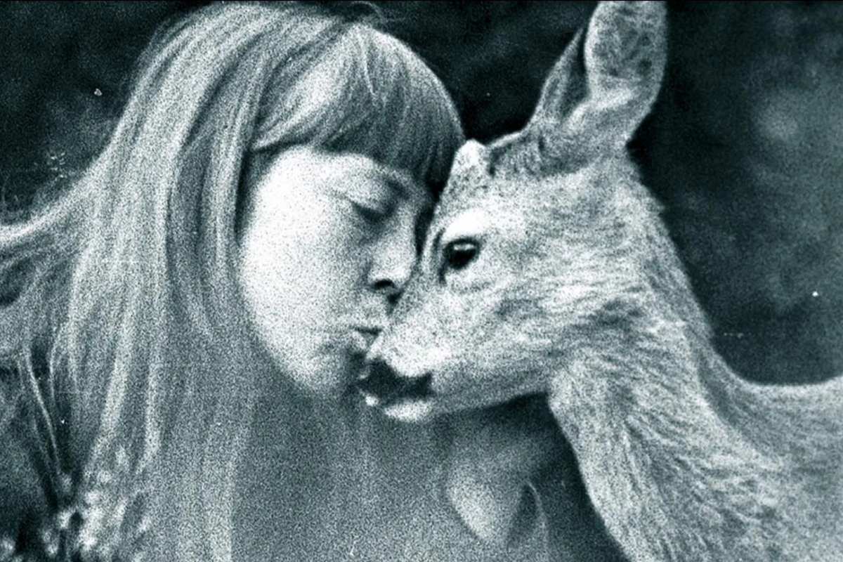 Simona Kossak
