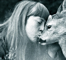 Simona Kossak