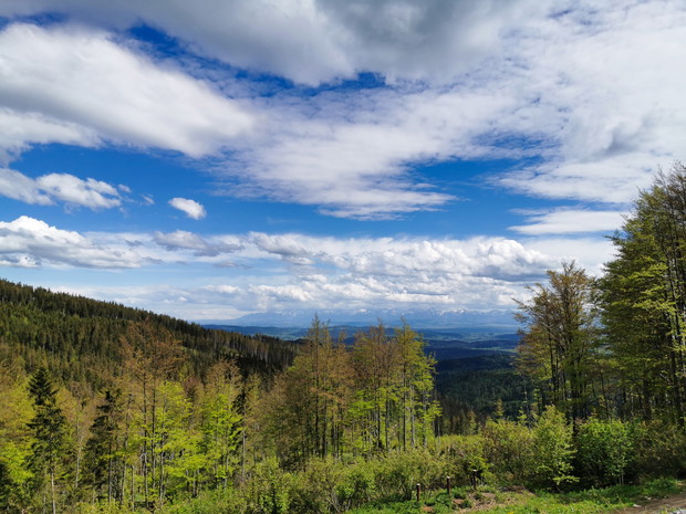 Beskid
