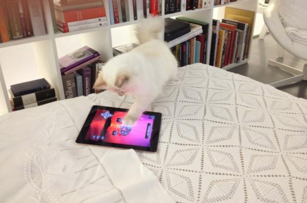 Karl Lagerfeld czy Choupette - kto jest większą gwiazdą?