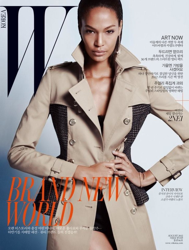 Joan Smalls najlepszą modelką na świecie