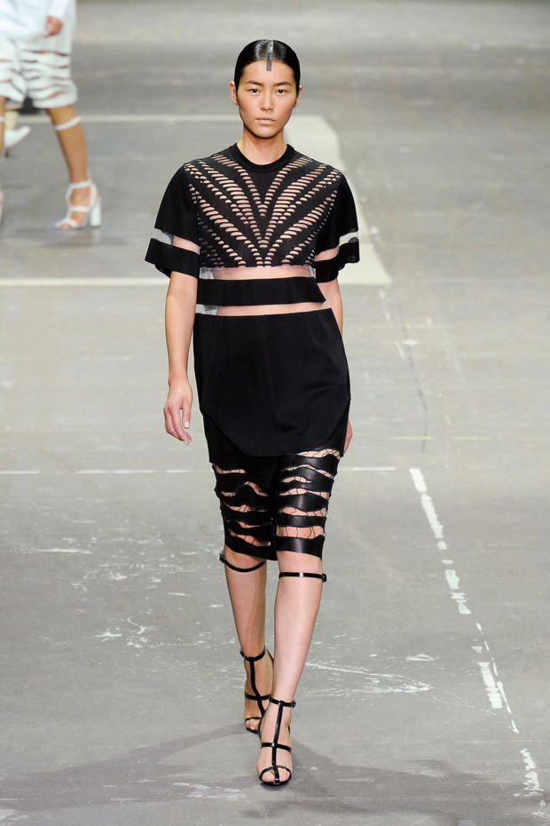 Alexander Wang wiosna-lato 2013